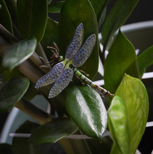 Late Art Deco Plique a Jour Enamel Dragonfly Brooch