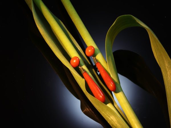Fine Vintage Blood Coral Gold Drop Earrings