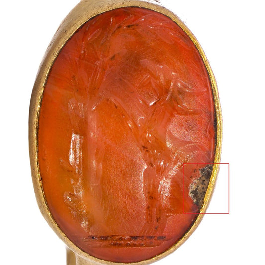 Roman carnelian intaglio ring set in 22 ct yellow gold, circa 100 - 300 AD.
