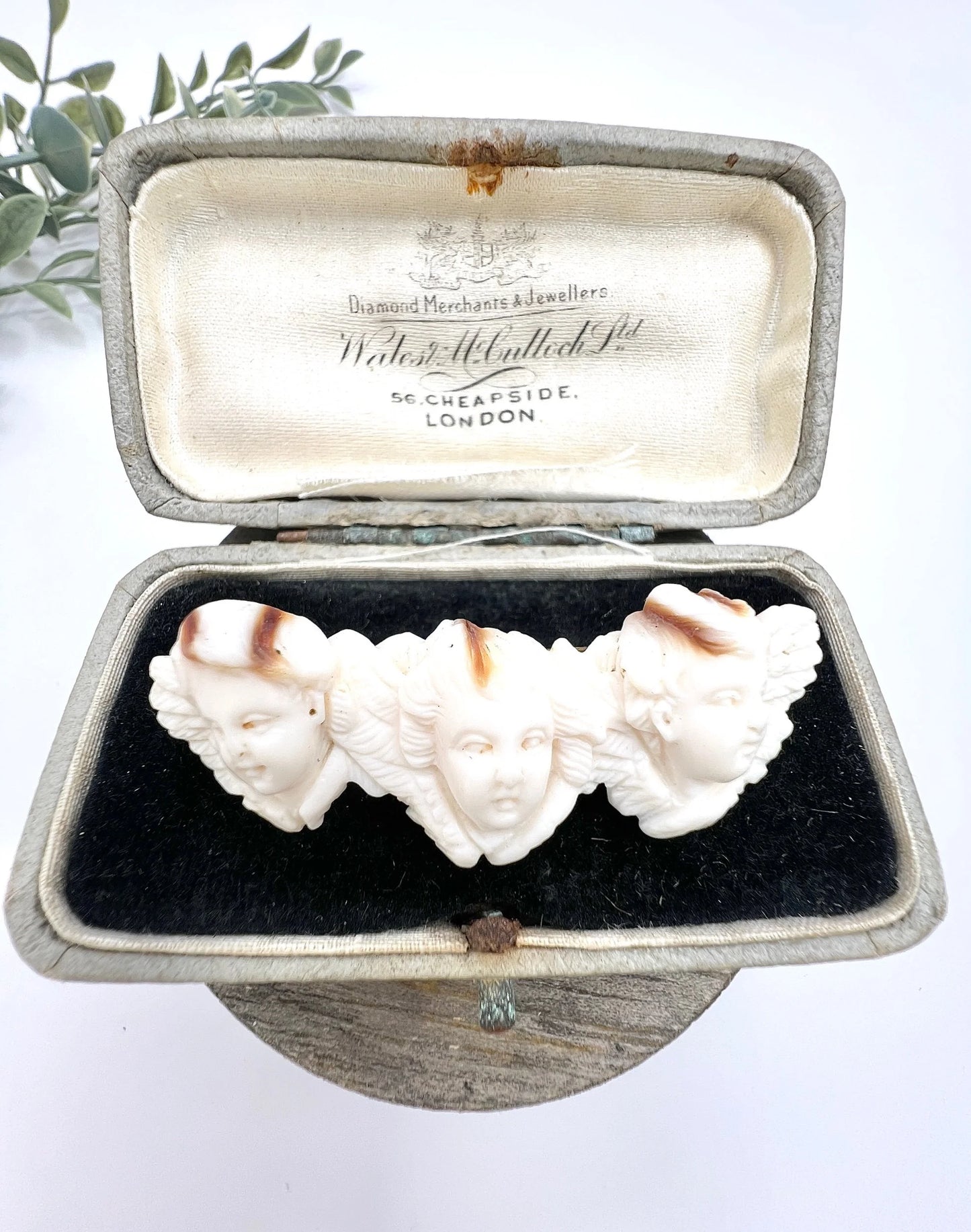 Early Victorian Angel Skin Coral Cherub Trio Shell Cameo Brooch, Circa 1850