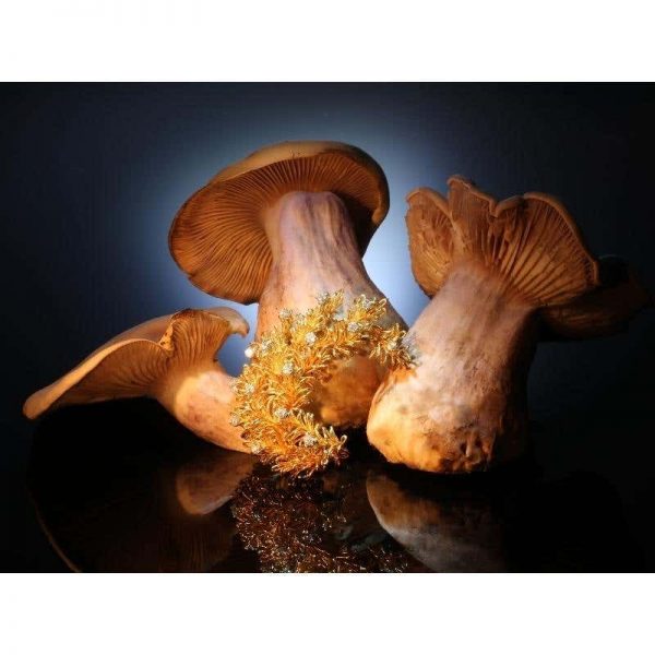 Vintage Cartier Diamond Set 18ct Yellow Gold Brooch