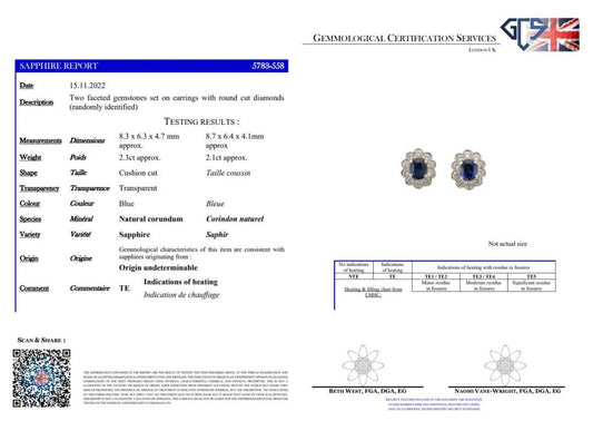 Sapphire And Diamond Cluster Earrings In 18 Carat White Gold