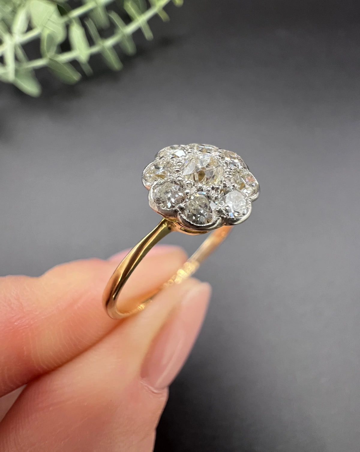 Antique 18ct Gold & Platinum, Edwardian 0.75 Carat Diamond Daisy Cluster Ring
