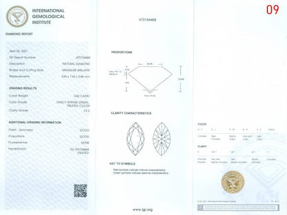 Rare Vintage 1970s Fancy Colour Diamond Spray Brooch, over 19 carats