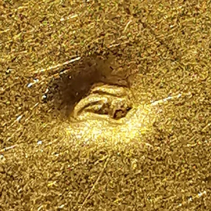 Antique 19th Century Italian Micromosaic and Gold Drop Earrings