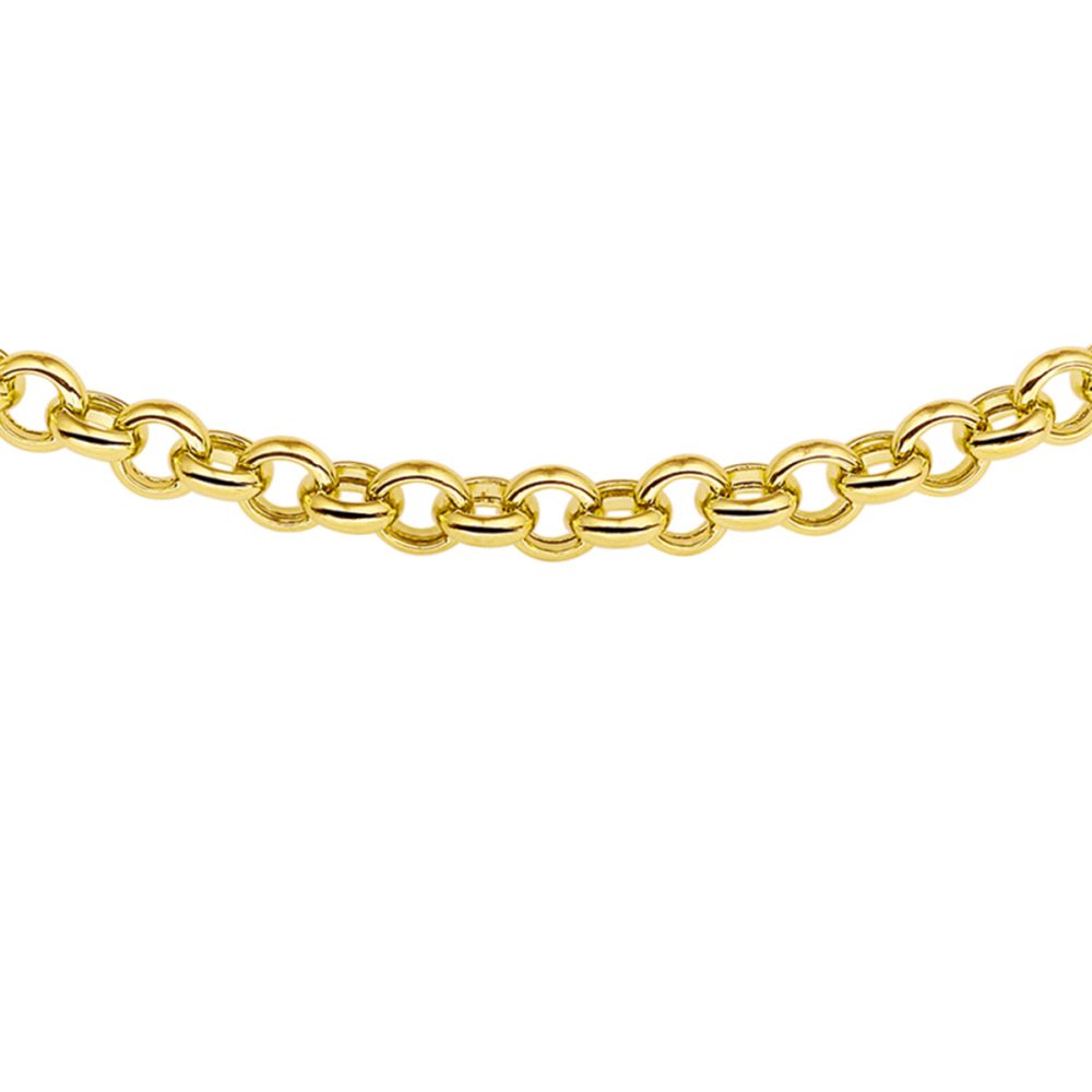 Jasseron 14 Carat Yellow Gold Necklace