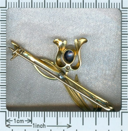 Antique Art Nouveau Enamelled Sapphire and Diamond Set Brooch, 18ct Gold