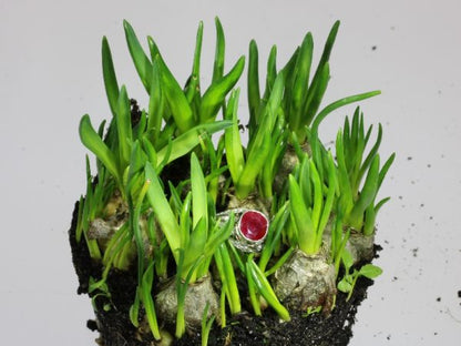 Antique Art Deco Burma Ruby and Diamond Engagement Ring, 3.19ct