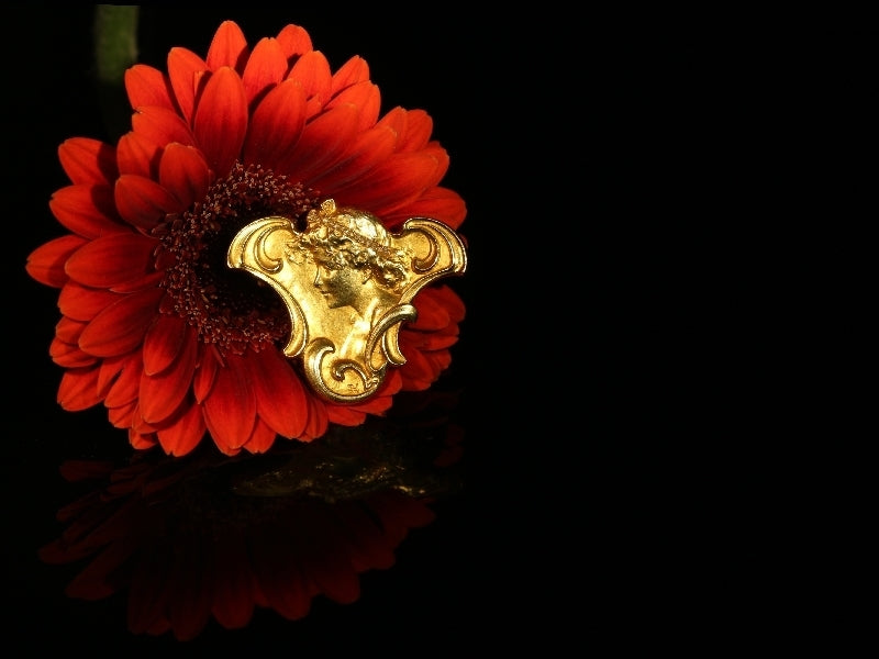 Art Nouveau Old Cut Diamond and 18ct Yellow Gold Brooch Pendant