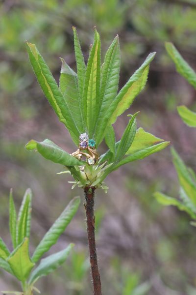 Antique Edwardian Suffragette Ring in 18ct Gold