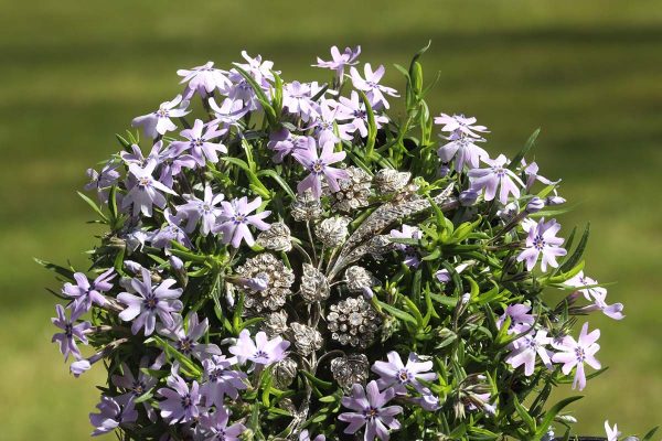 Antique French Victorian Diamond Branch Brooch