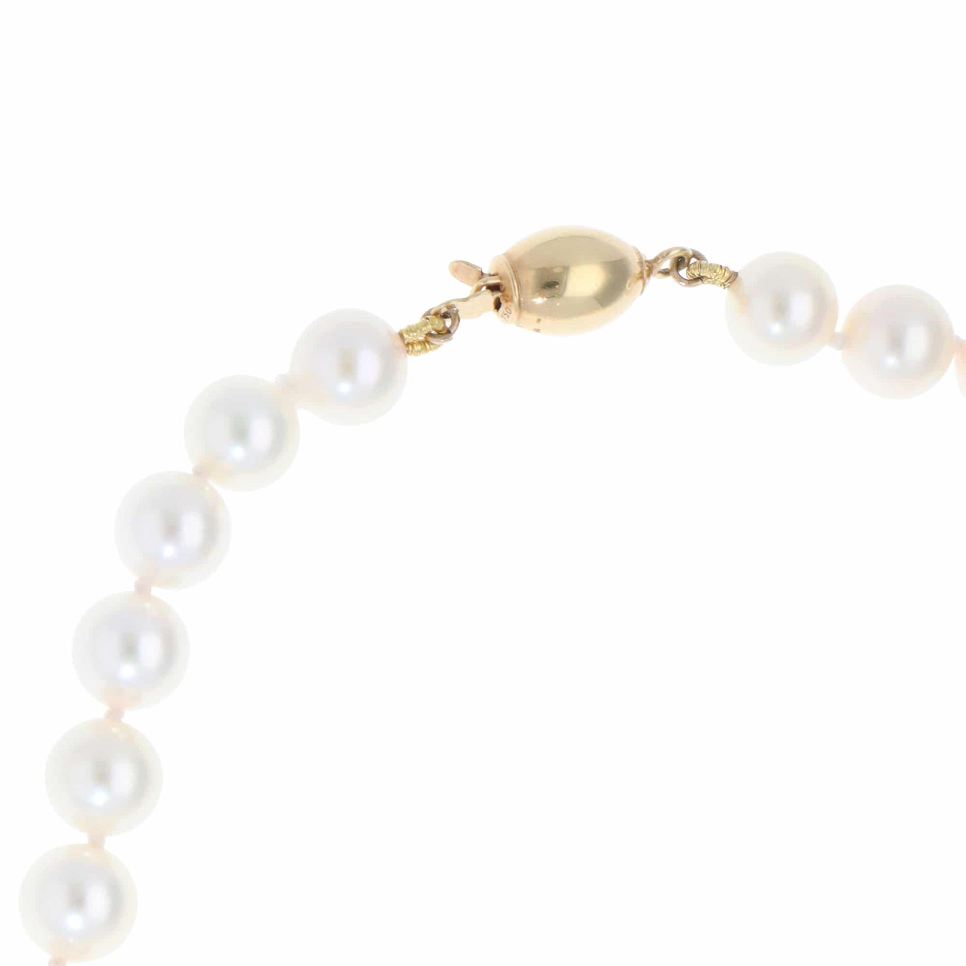 Akoya pearl necklace with a gold barrel clasp.