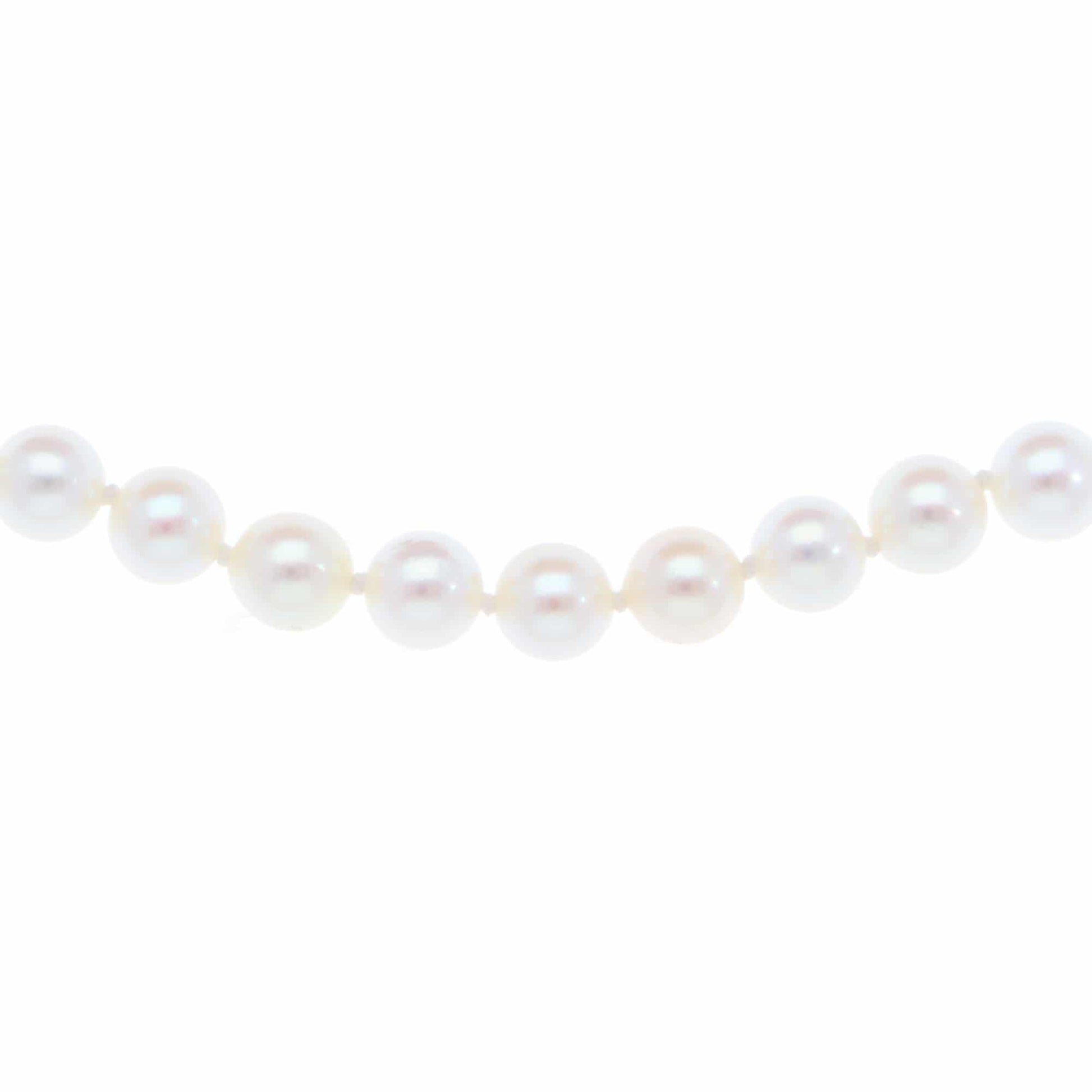A white pearl single row necklace, on a white background