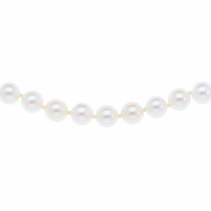A white pearl single row necklace, on a white background