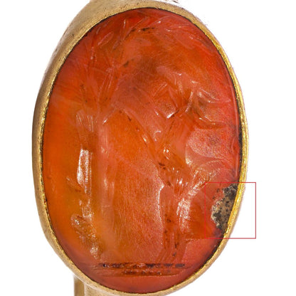 Roman carnelian intaglio ring set in 22 ct yellow gold, circa 100 - 300 AD.