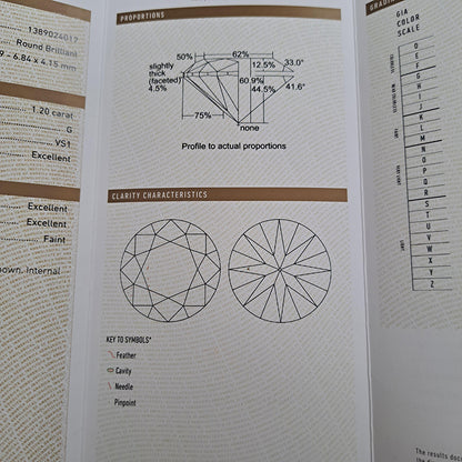 GIA Certified Boodles 1.20ct Diamond Solitaire Pendant in Platinum