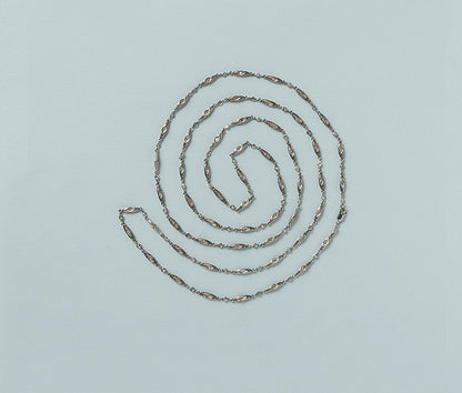 Early 20th Century Platinum Chain with Diamonds