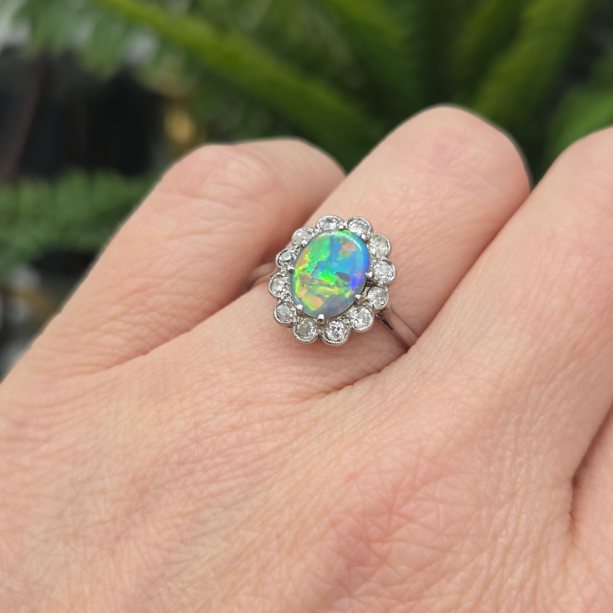 Edwardian Antique Black Opal and Old Cut Diamond Cluster Engagement Ring in Platinum