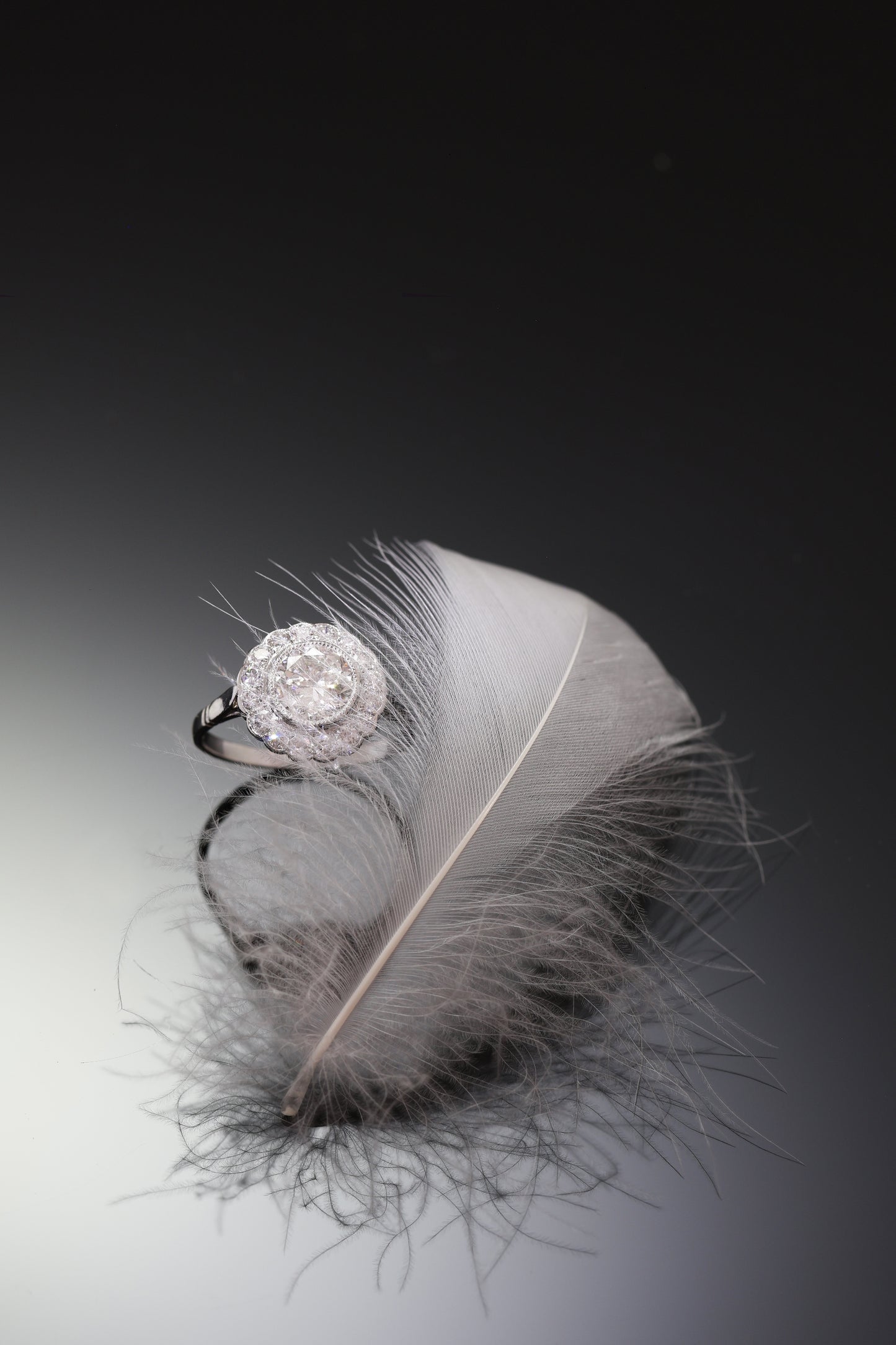 A brilliant cut diamond scalloped edge cluster ring in platinum, with a feather