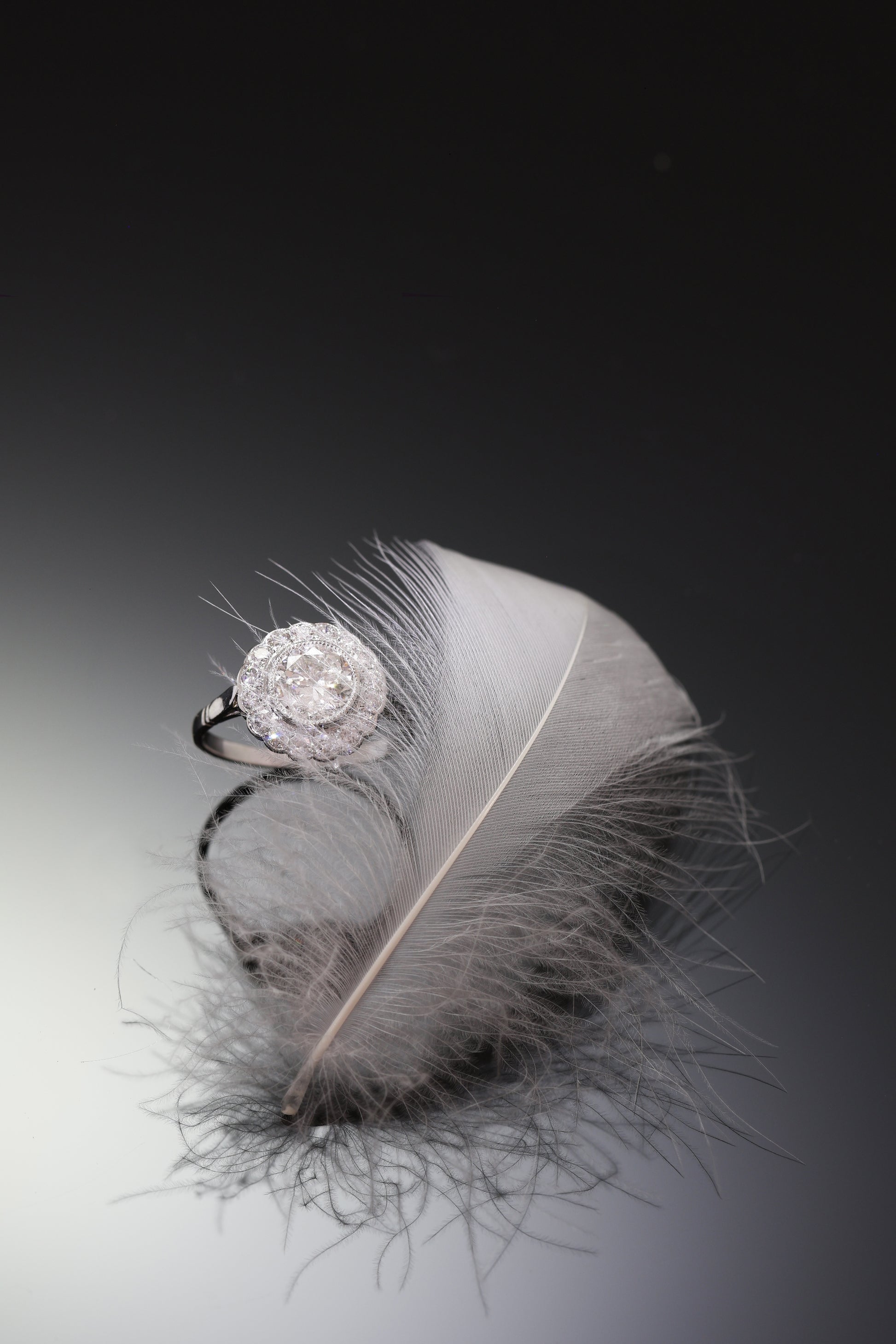 A brilliant cut diamond scalloped edge cluster ring in platinum, with a feather
