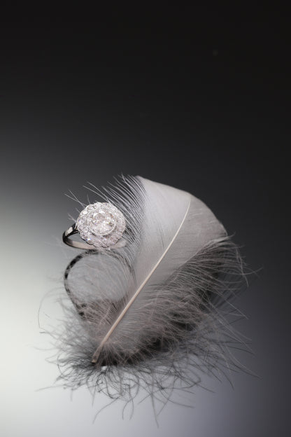 A brilliant cut diamond scalloped edge cluster ring in platinum, with a feather