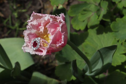 Vintage Ruby and Diamond Cluster Ring, Circa 1970s