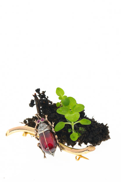 A garnet, ruby and diamond beetle brooch in gold and silver