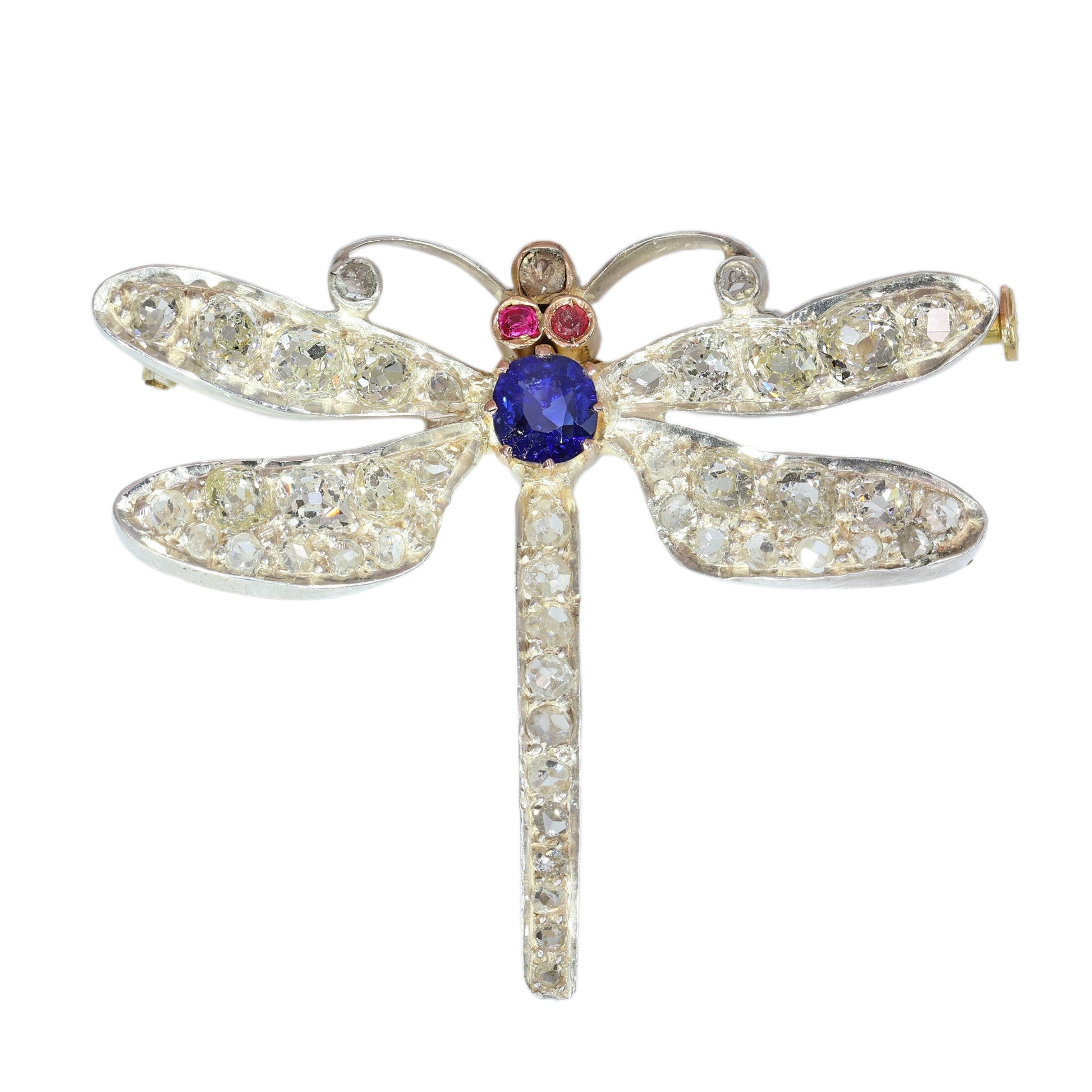 A dragonfly shaped brooch with diamonds, two ruby eyes and a sapphire body