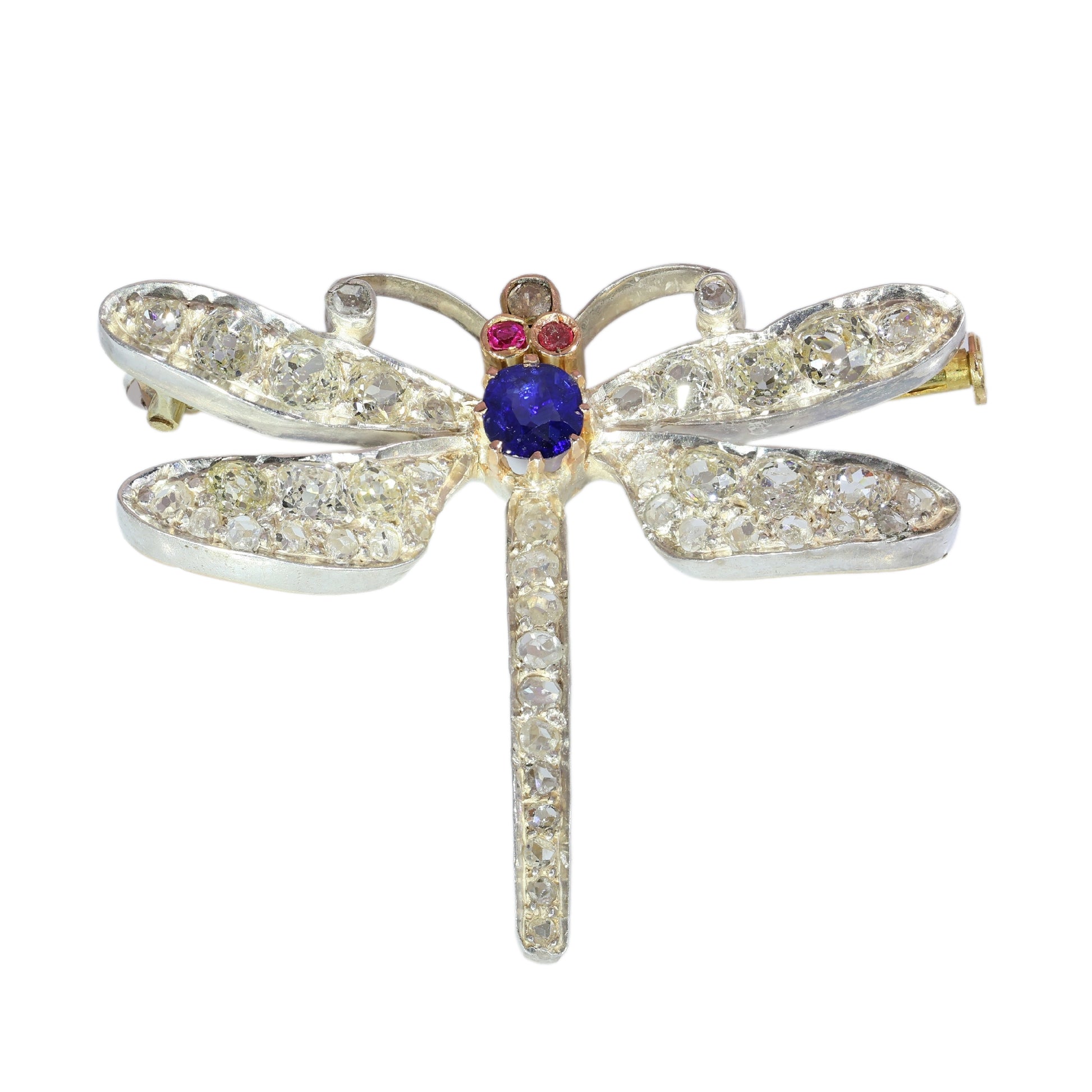 A dragonfly shaped brooch with diamonds, two ruby eyes and a sapphire body