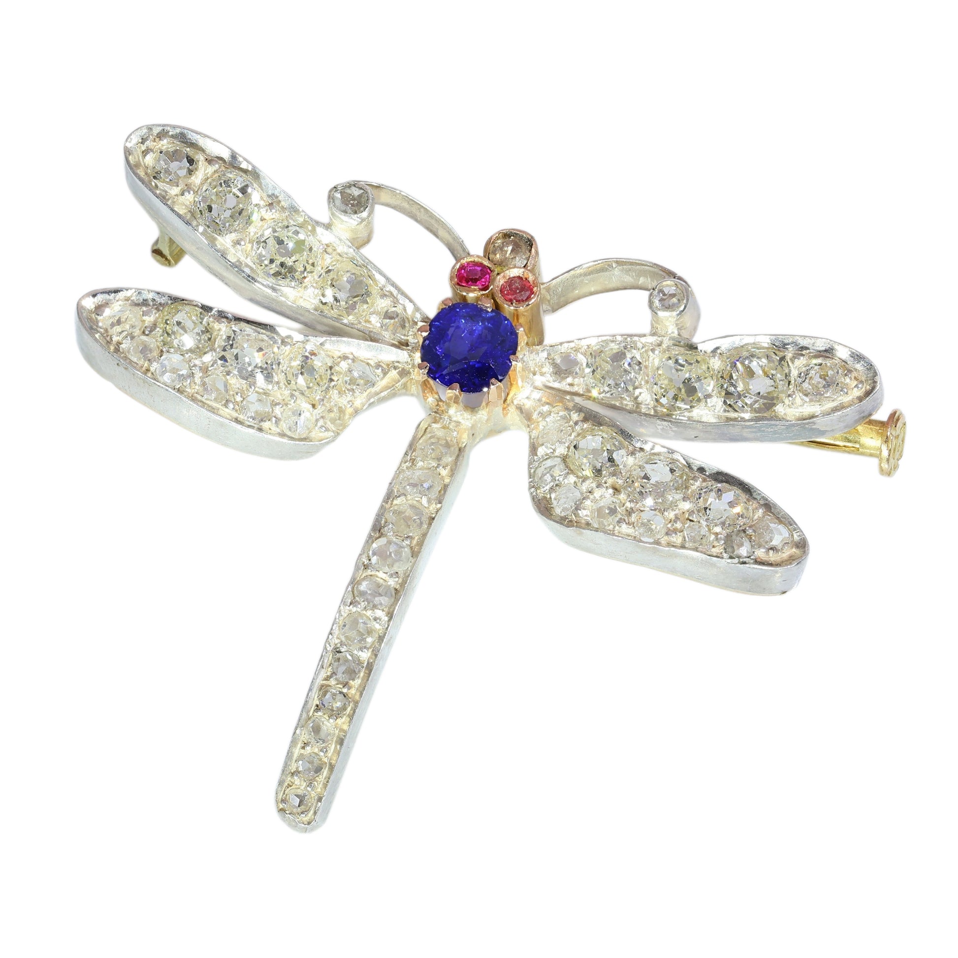 A dragonfly shaped brooch with diamonds, two ruby eyes and a sapphire body