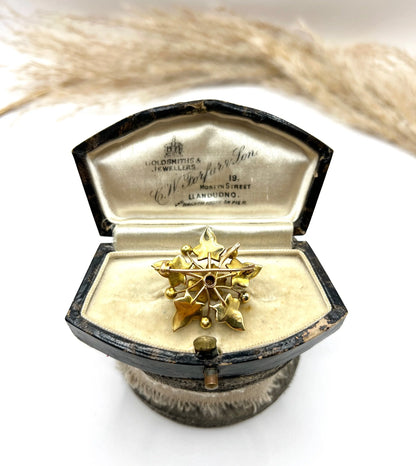 Antique 15 ct Gold, Edwardian Natural Seed Pearl Flower Pendant/Brooch