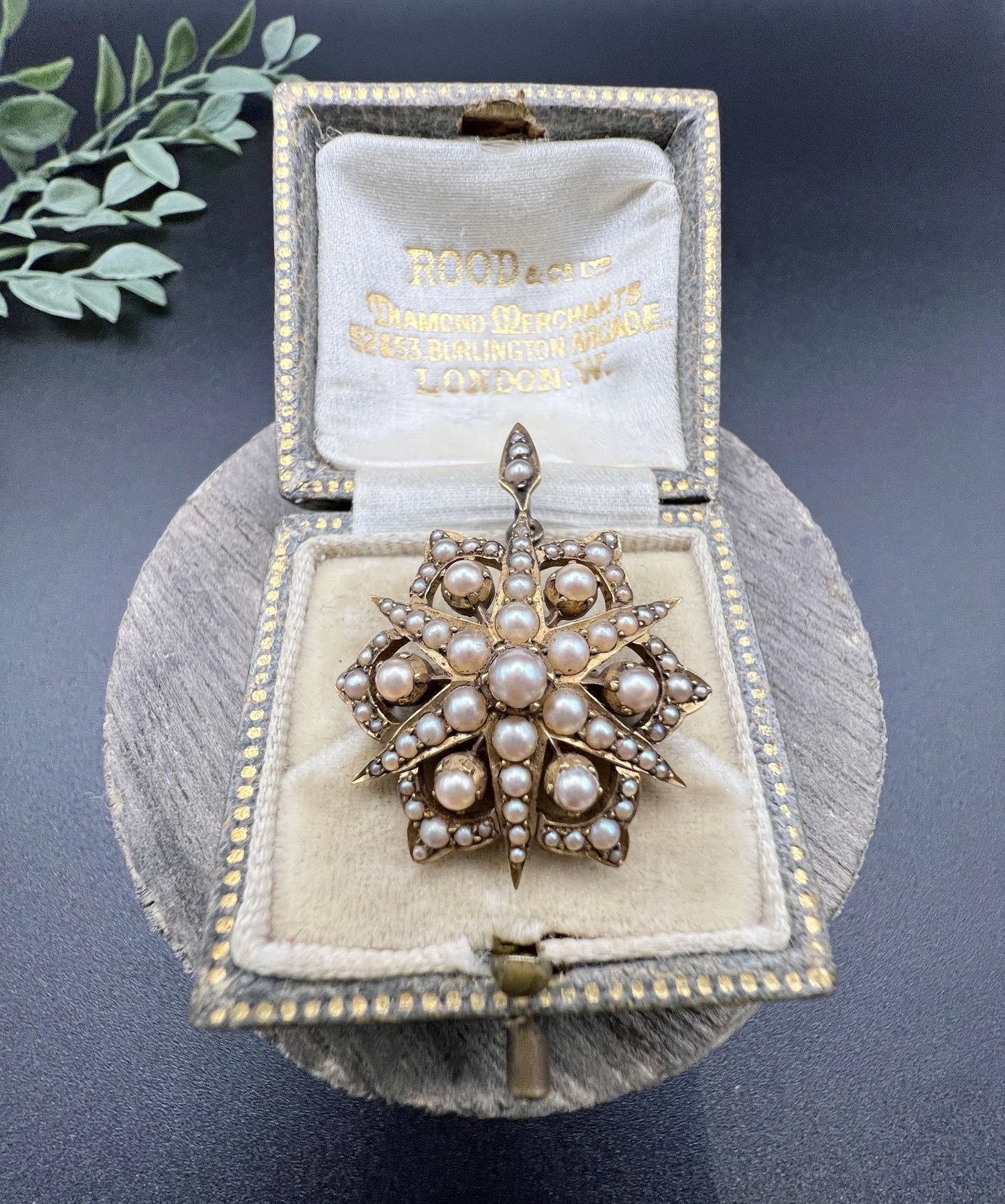 A yellow gold brooch/pendant with pearls in the shape of a star, in an antique box