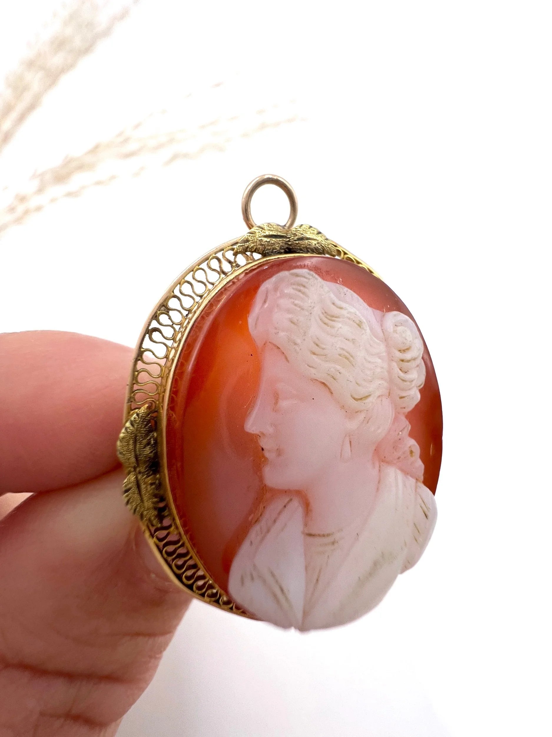 Victorian 10 Carat Gold Hardstone Cameo Brooch/Pendant Necklace, Circa 1890
