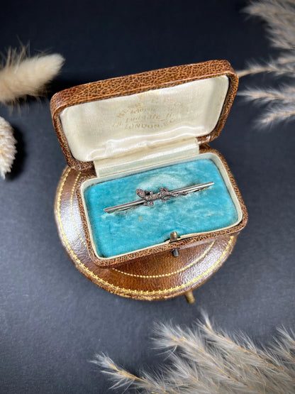 Antique 15ct Gold & Platinum, Victorian Diamond Lizard Brooch