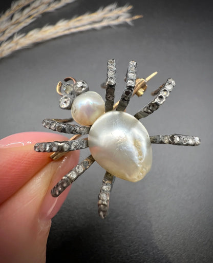 A pearl and diamond spider brooch in gold and silver, held in a hand