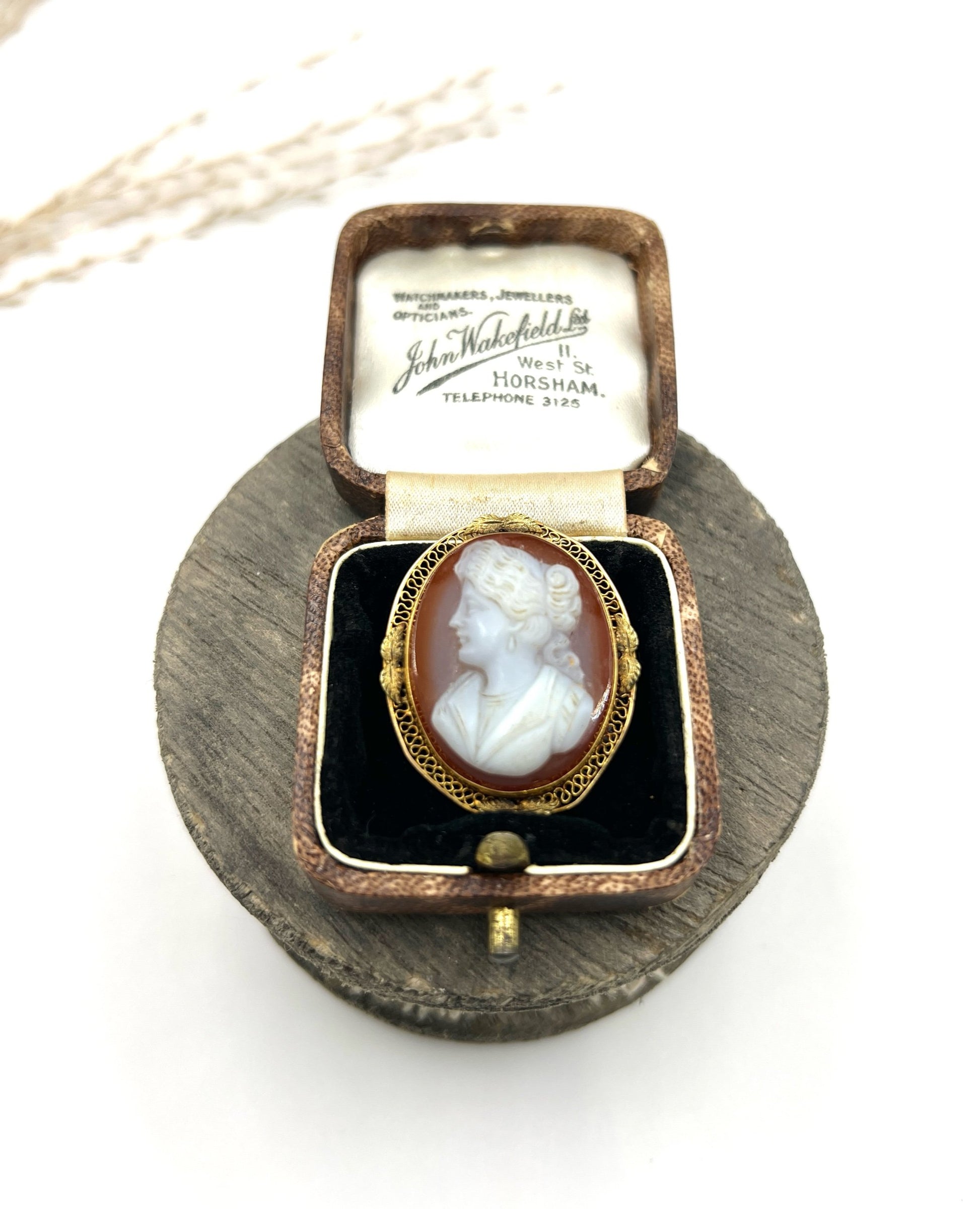 Victorian 10 Carat Gold Hardstone Cameo Brooch/Pendant Necklace, Circa 1890