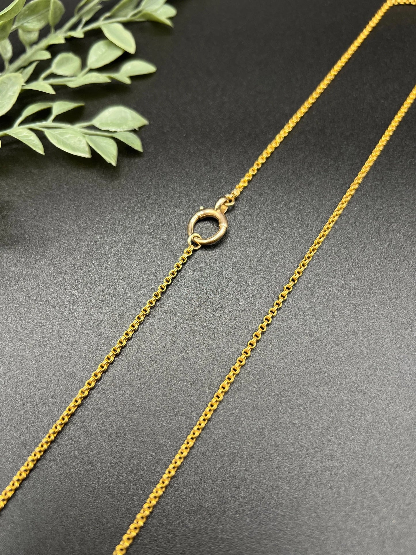 A yellow gold rolo link chain necklace