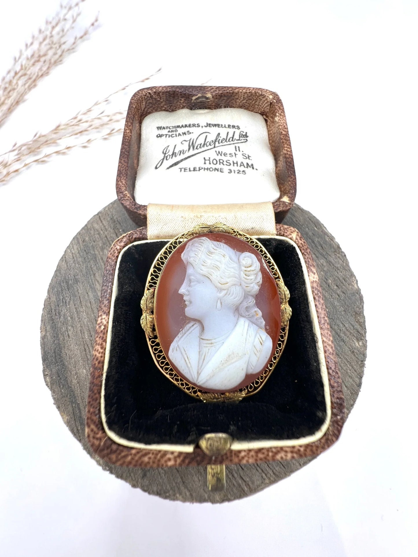 Victorian 10 Carat Gold Hardstone Cameo Brooch/Pendant Necklace, Circa 1890