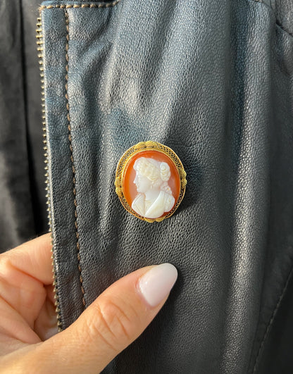 Victorian 10 Carat Gold Hardstone Cameo Brooch/Pendant Necklace, Circa 1890