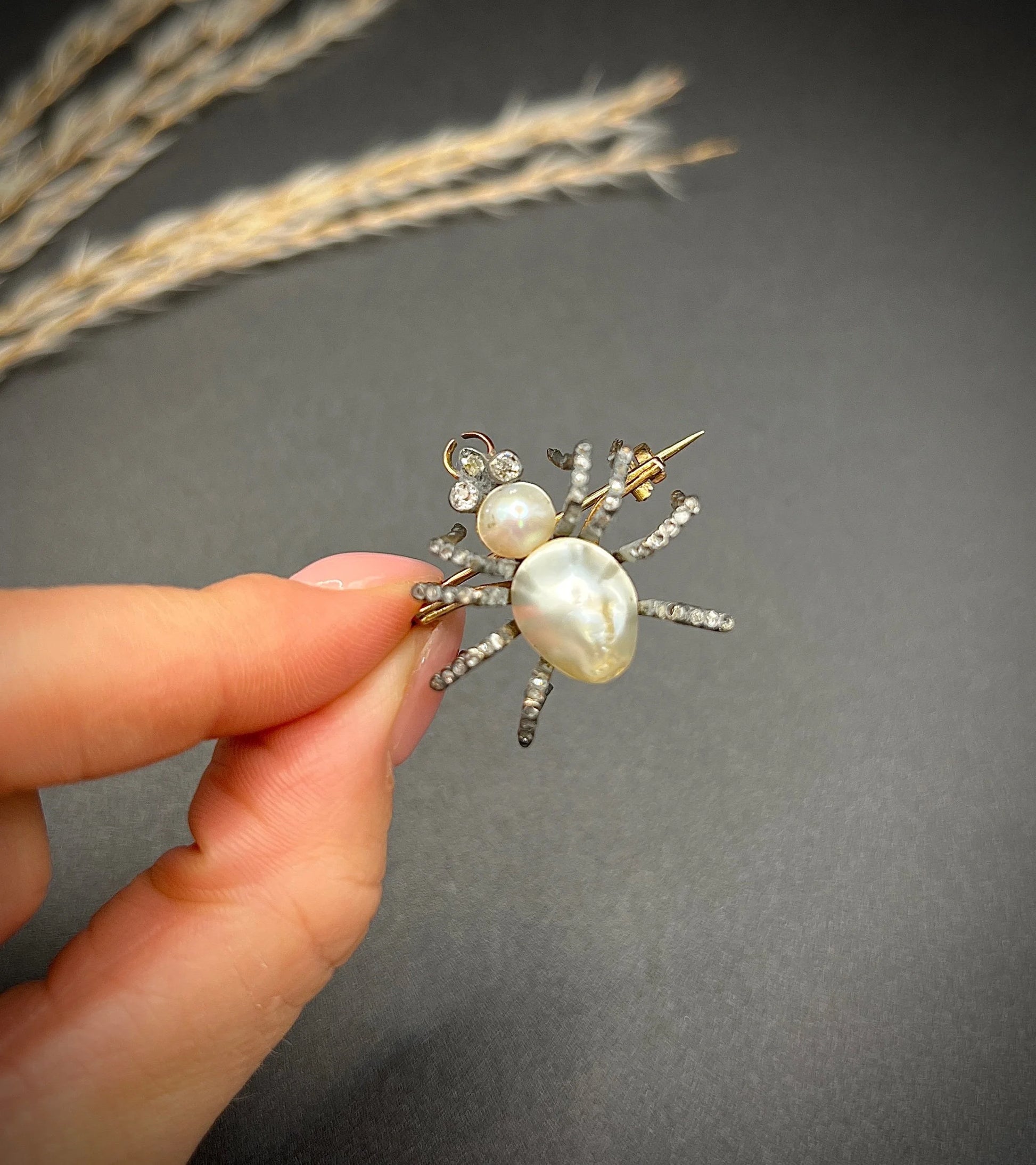 A pearl and diamond spider brooch in gold and silver, held in a hand