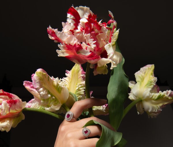 Antique Edwardian Burma Ruby and Double Diamond Cluster Ring