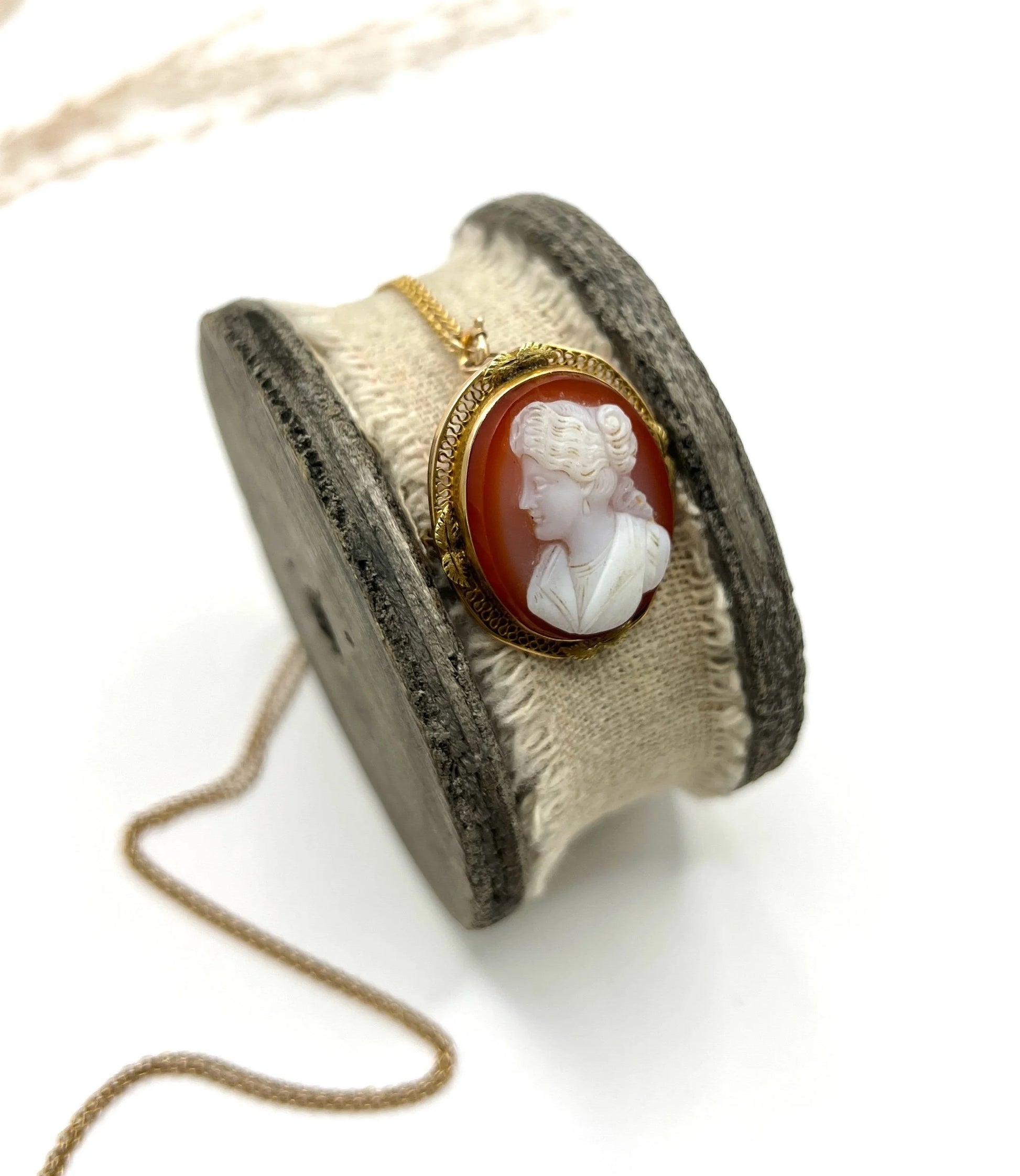 Victorian 10 Carat Gold Hardstone Cameo Brooch/Pendant Necklace, Circa 1890