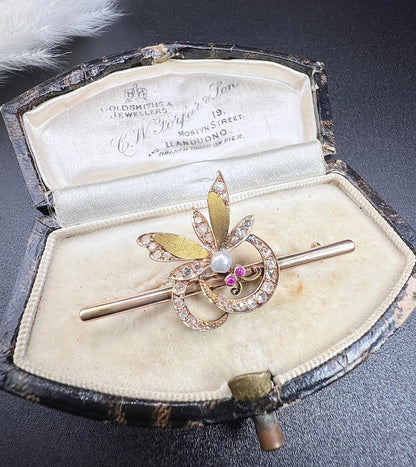 Victorian 18 Carat Gold Ruby, Diamond and Pearl Insect Brooch, Circa 1880