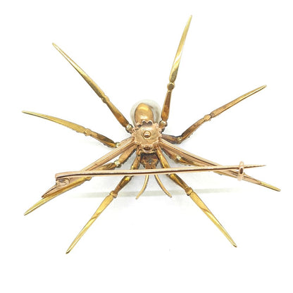 Antique Victorian Sapphire and Natural Pearl Spider Brooch silver upon gold
