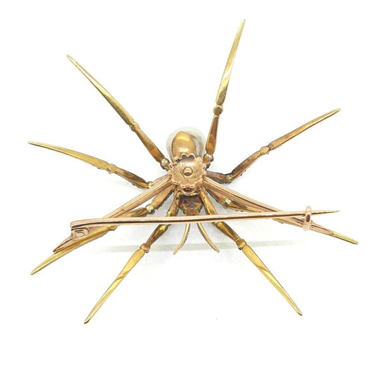 Antique Victorian Sapphire and Natural Pearl Spider Brooch silver upon gold