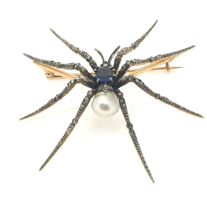 Antique Victorian Sapphire and Natural Pearl Spider Brooch