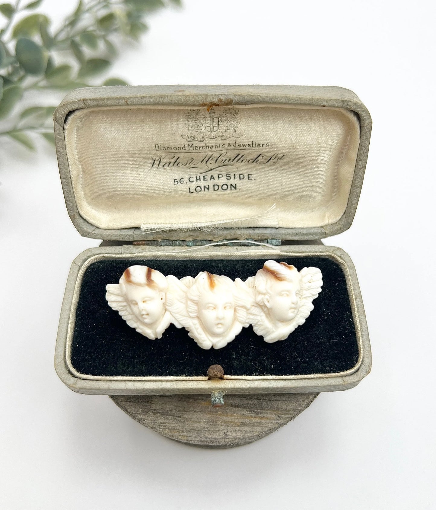 Early Victorian Angel Skin Coral Cherub Trio Shell Cameo Brooch, Circa 1850