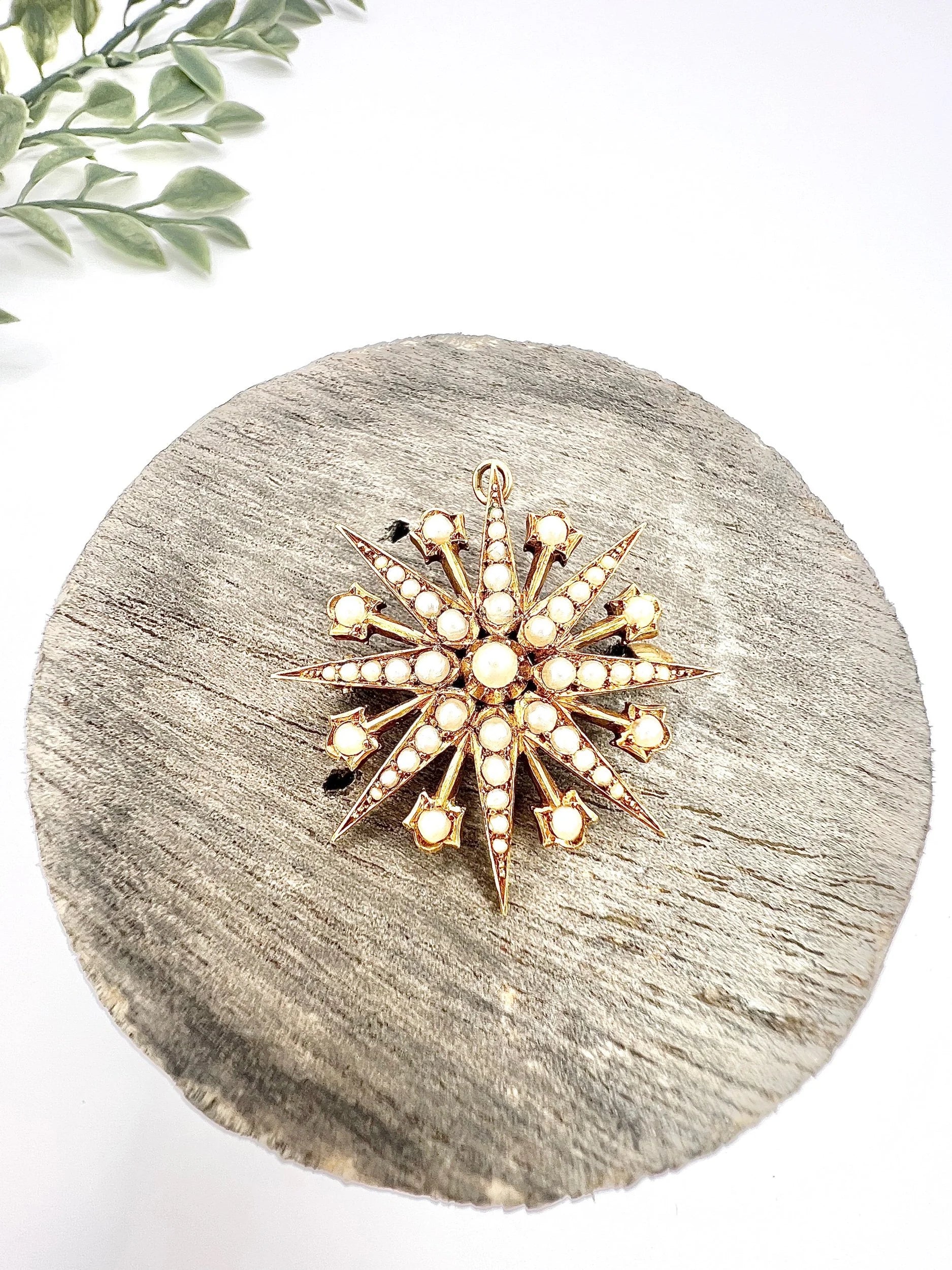 Antique 15 ct Yellow Gold, Edwardian Seed Pearl Star Pendant/Brooch