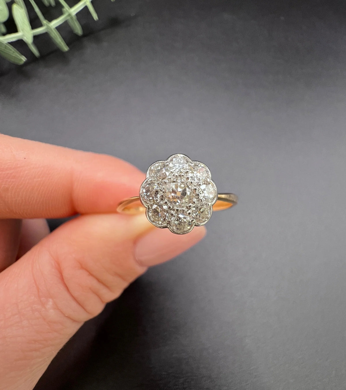 Antique 18ct Gold & Platinum, Edwardian 0.75 Carat Diamond Daisy Cluster Ring