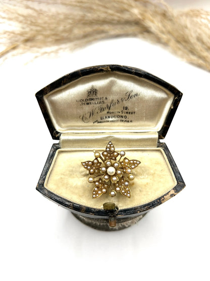 Antique 15 ct Gold, Edwardian Natural Seed Pearl Flower Pendant/Brooch